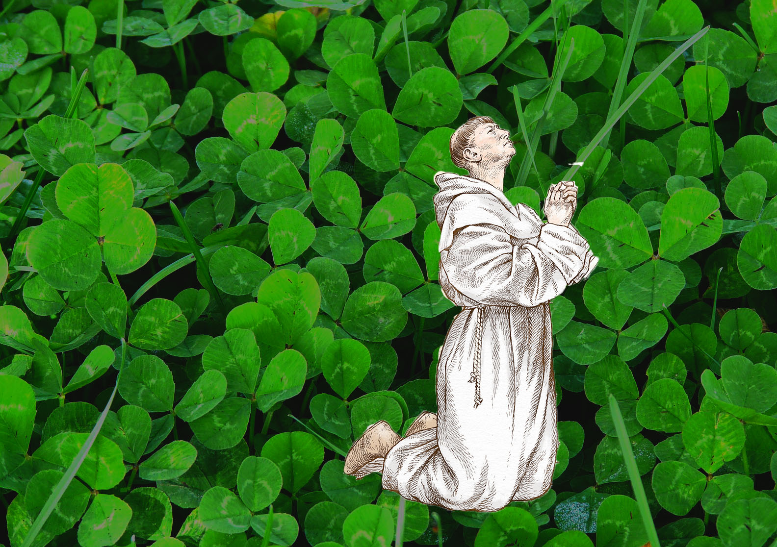 A monk praying with a field of shamrock in the background