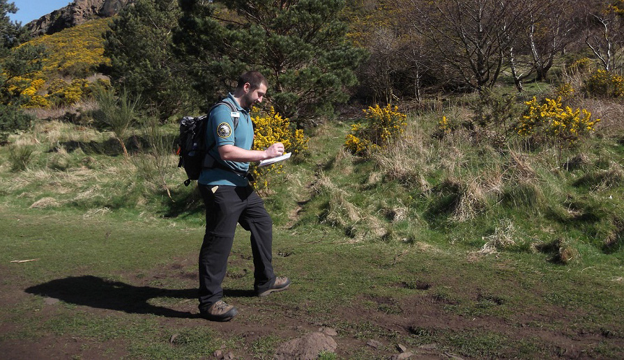 Robbie out in Holyrood Park making notes as part of the butterfly survey.