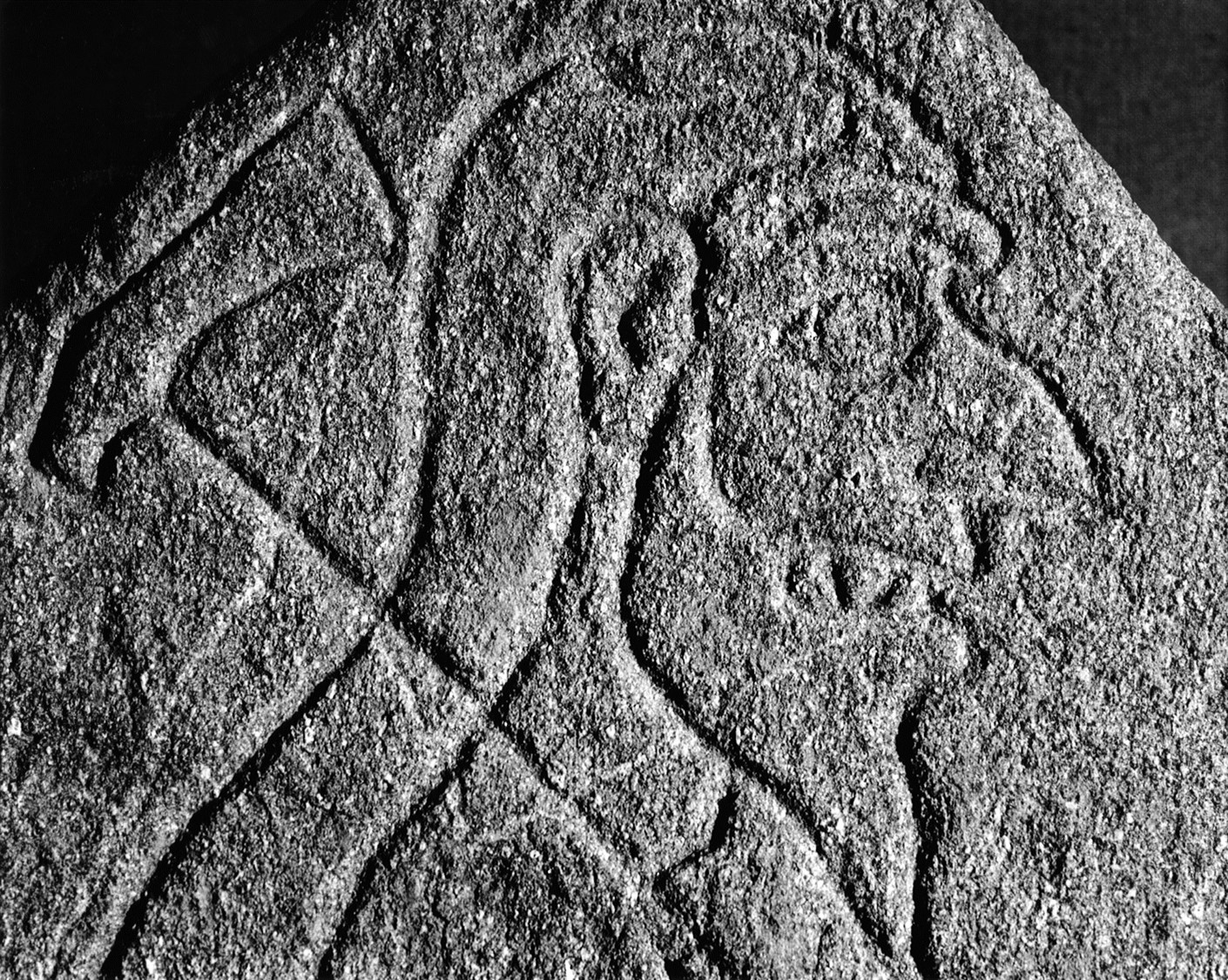 The symbol stone known as Rhynie Man from Rhynie, Barflat, Aberdeenshire