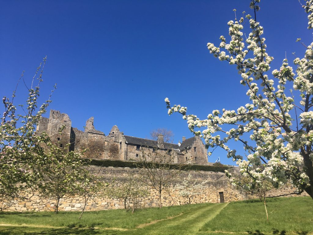 blue sky above grey stone building with outer wall and tree in foreground with white blossom 