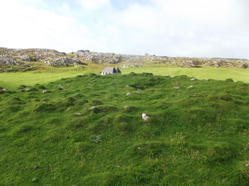 grassy bank with stones visible beneath it