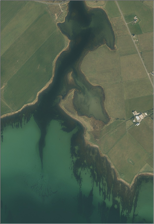 aerial view of a green coastline by a blue sea