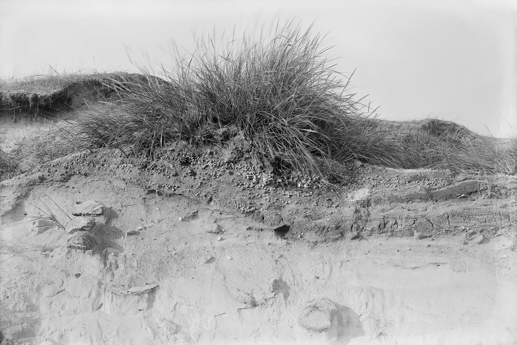 black and white image of a sand dune with tufty grass growing out the top