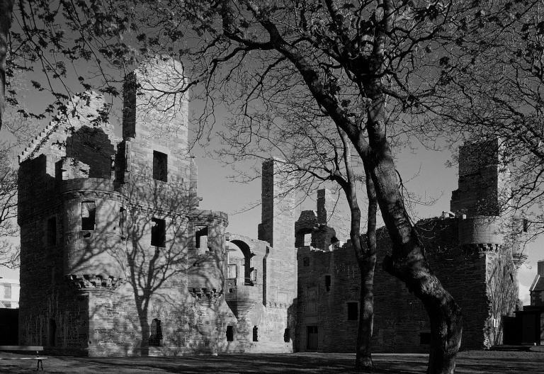ruined palace with shadow of tree silhoutted against it