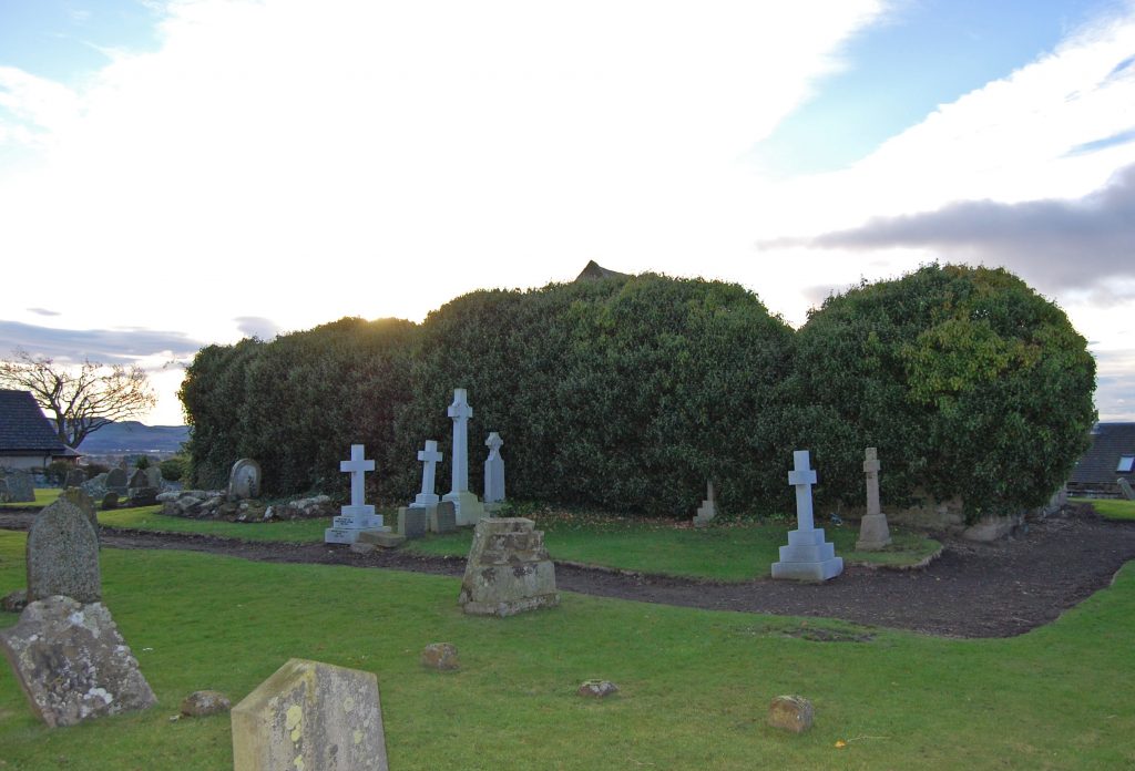 graveyard with large bushes behind tombstones, concealing a ruined church