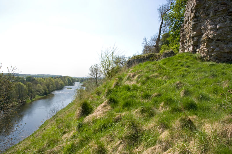 Image of a grassy river bank with an ancient castle at the top