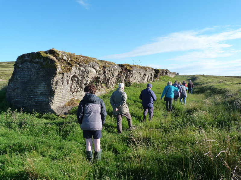 image of a group of archaeologists investigating a secret military site