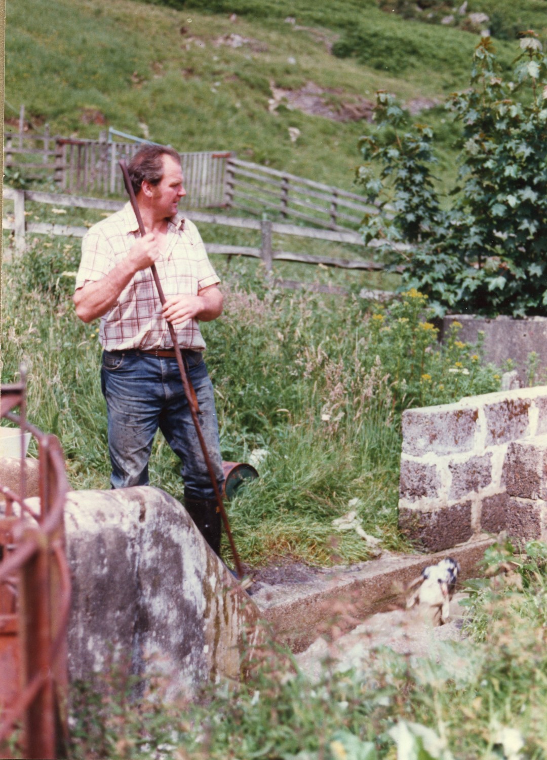 man in jeans and shirt sleeves holding a shepherds crook and looking off to the side