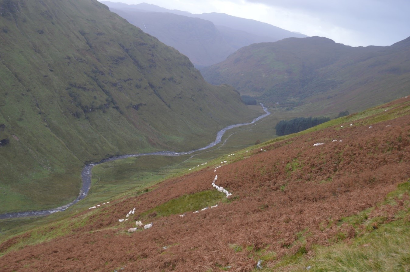 valley with green hills, a river at the bottom, and a slope covered in orange foliage