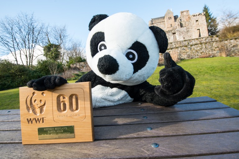 panda sits at a bench in front of a castle