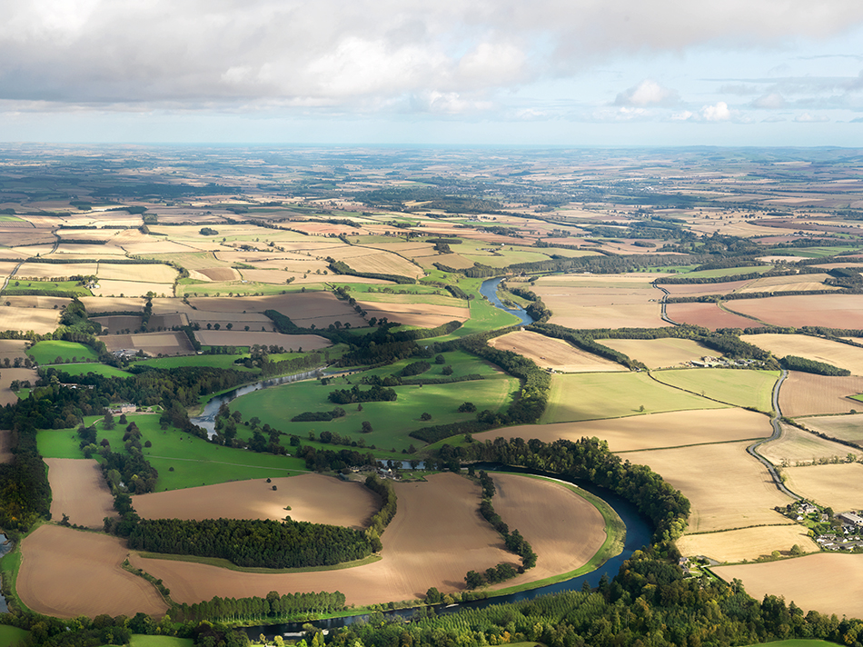 aerial view showing fields and hedges