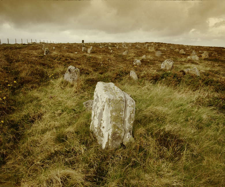 View of Hill o'Many Stanes. Lots of small stones dot a wild landscape