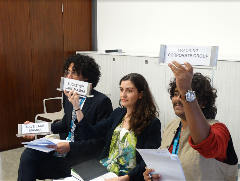 A group of forum delegates play the roles of NGO representatives in a World Heritage Committee simulation exercise