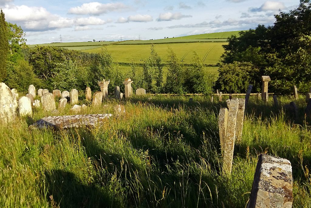 headstones in long grass of an old graveyard