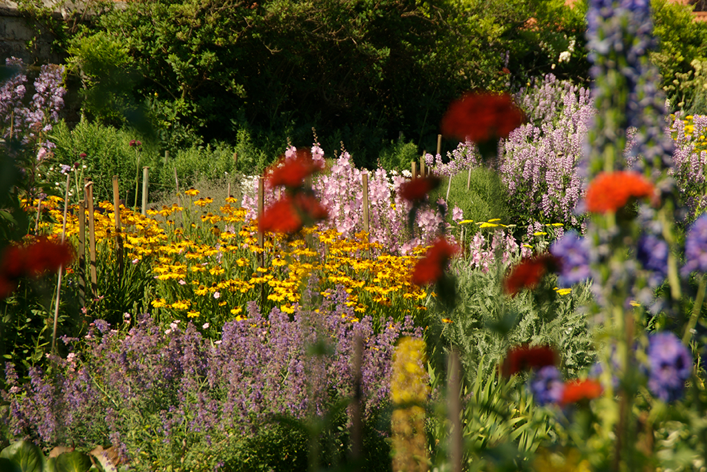 image of the herbacious borders at Dirleton Castle