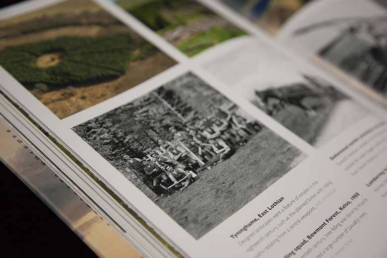 Close-up of photographs inside a book 