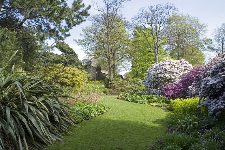 Plants and trees inside the Royal Botanic Gardens in Edinburgh 