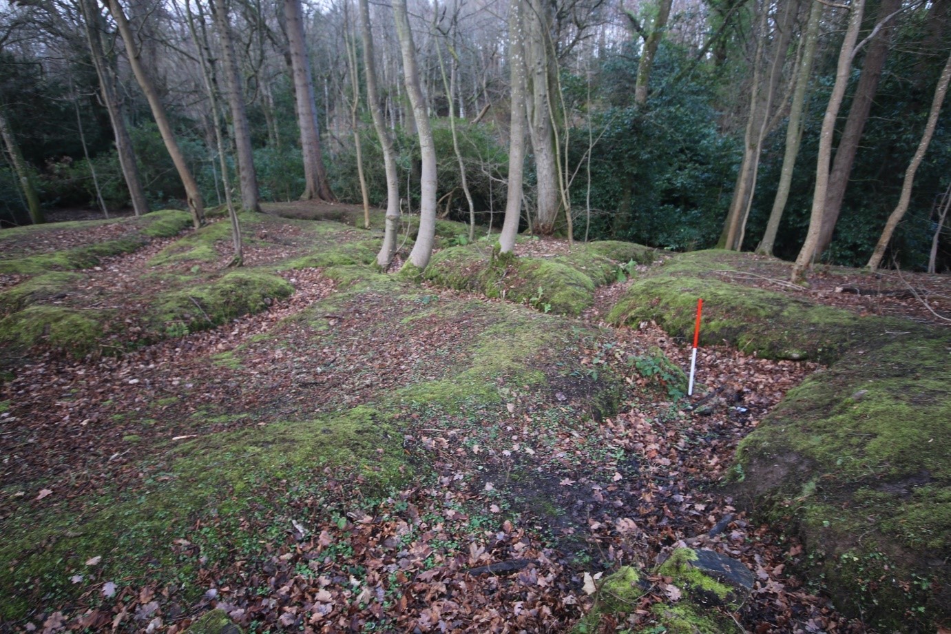 Remains of First World War training trenches in woodland near Edinburgh