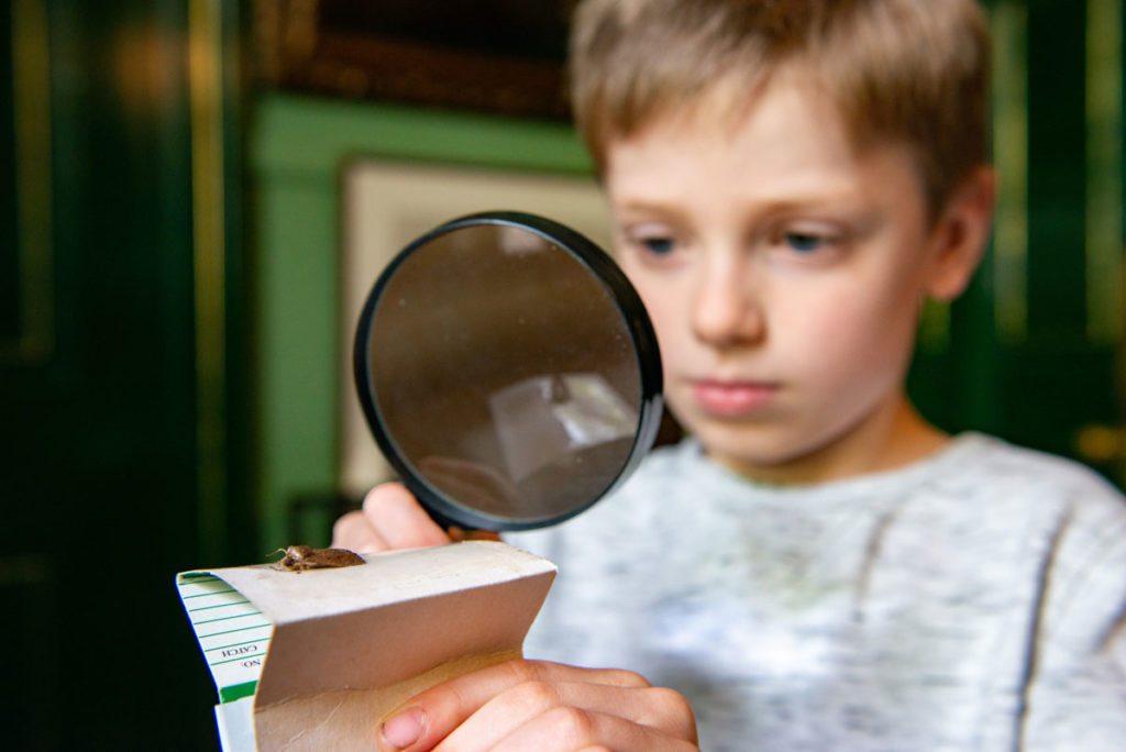 A boy holds a magnifying glass and looks at an insect on a piece of paper