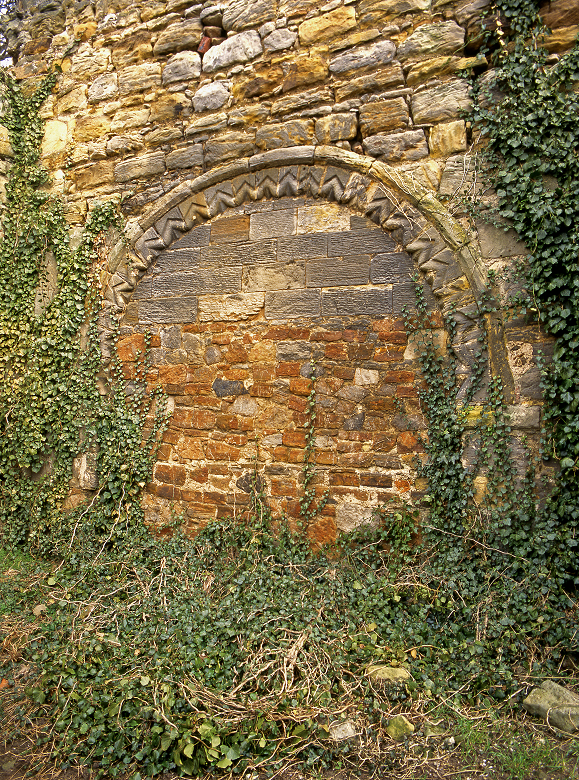 Ivy growing on the wall of a historic church building