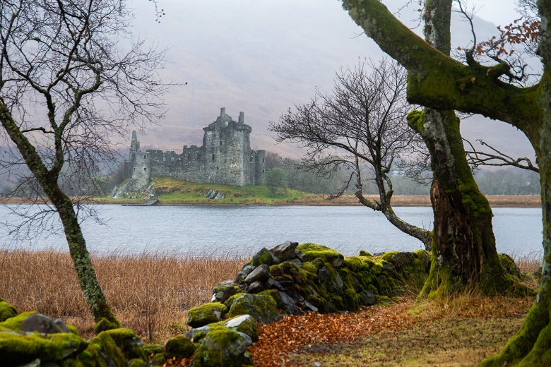 A view of a tree and a dry stone wall in front of Loch Awe and Kilchurn Castle in rainy weather