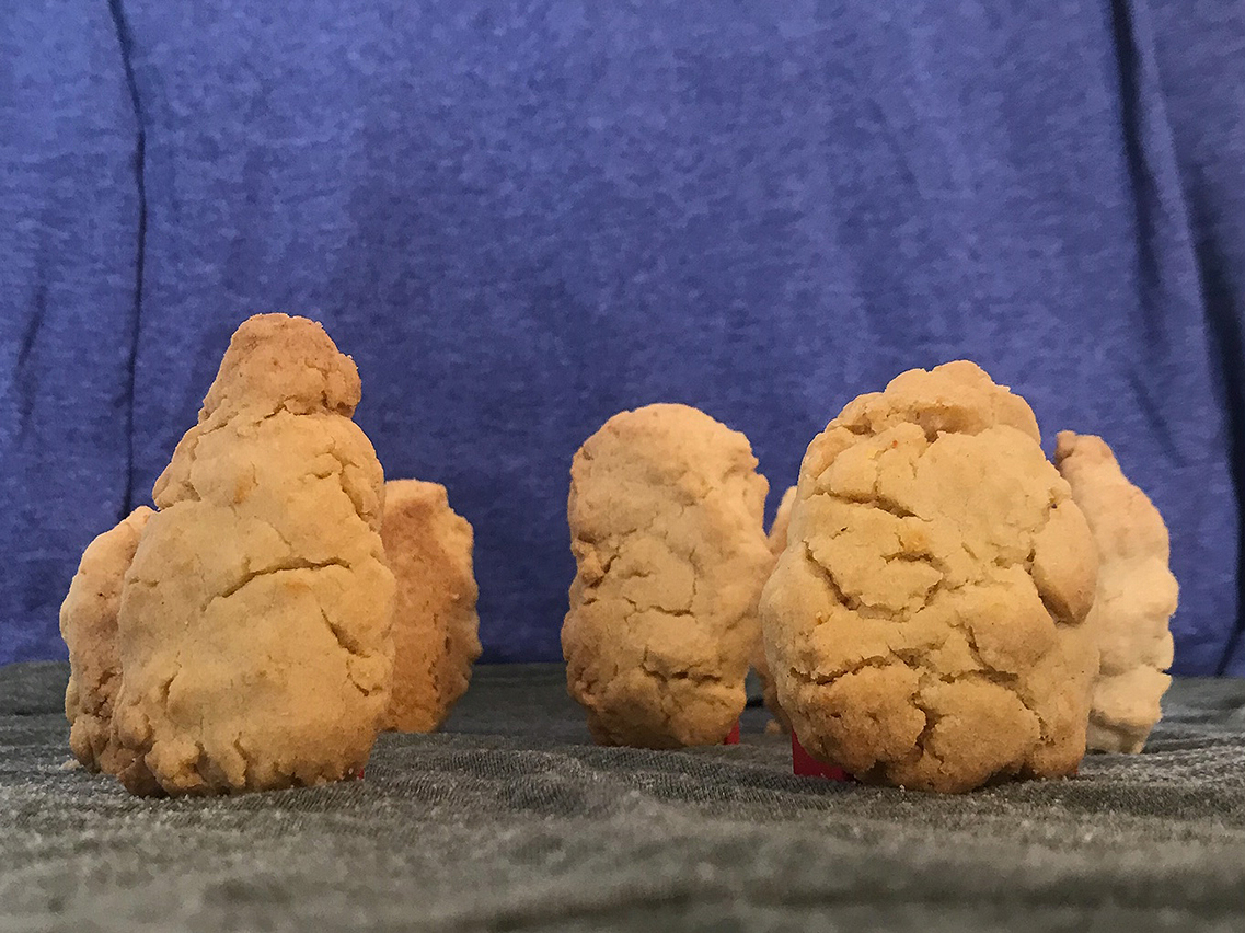 shortbread biscuits of different shapes and sizes stand in a row in front of a blue background