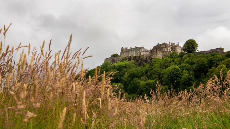 long grass waving in the breeze with a castle on a tree covered hill in the distance behind it