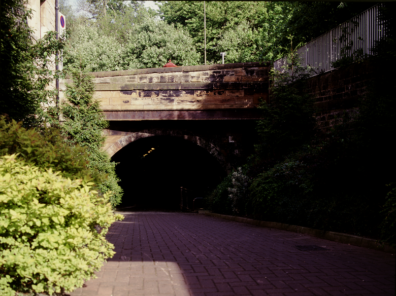 Trees and shrubs grow around the entrance to a former railway tunnel, now part of a cycle path