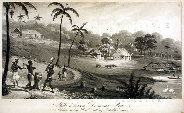 An engraving showing the timber plantation at Mibiri Creek, Guyana.In left foreground, two Black men are cutting wood, next to them are their wives and children. In the very lower right hand corner is the boat-house, above it the main dwelling house, and on the top of the hill were the huts for enslaved people, with some cocoa-nut trees.