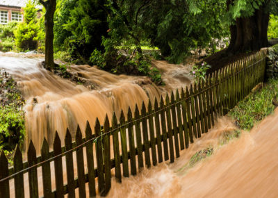 Water floods through a garden and down a path