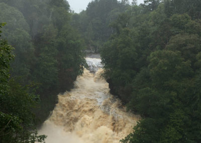 A river is flowing with white rapids