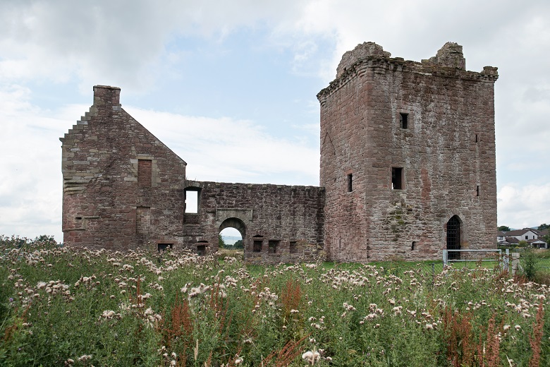 Wild flowers growing in front of a ruined castle
