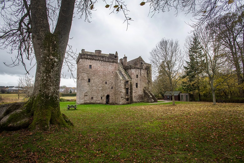 Trees and fallen leaves in front of a stone castle