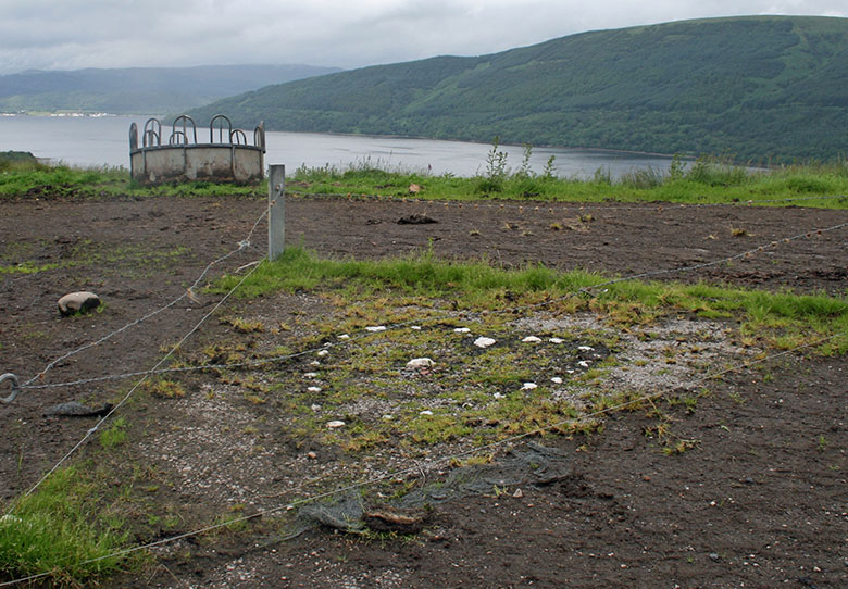 the outline of a heart-shape traced in white quarts stones and pebbles. There is loch in the background.