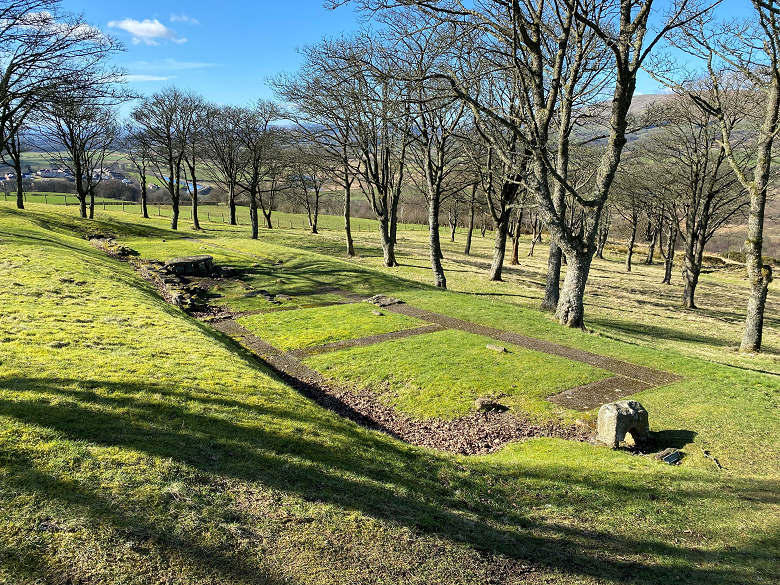 The outline of a Roman fort surrounded by wintry trees