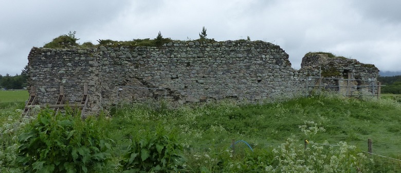 A "before" photo of the walls of a ruined castle in a poor condition and surrounded by overgrown grass