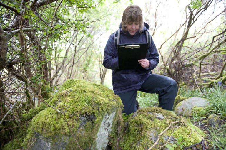 A lady with a clipboard busy surveying a historic site 