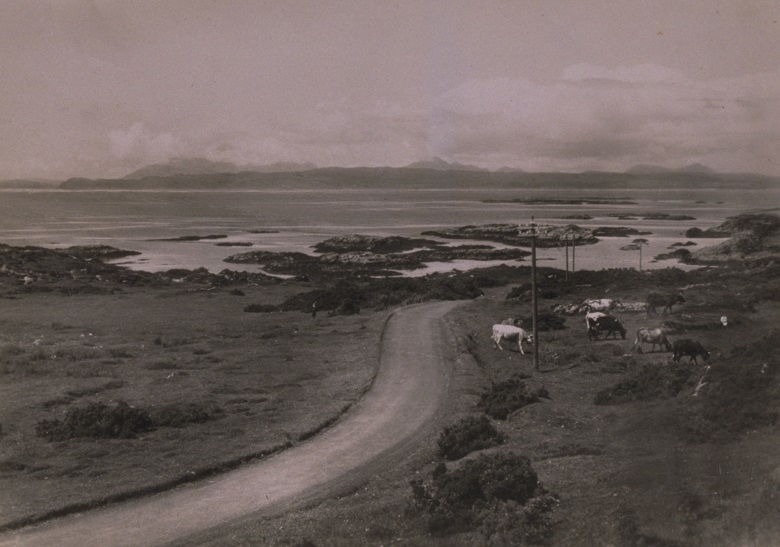An archive photo of a single track leading to the coast, island peaks can be seen in the background while cows graze at the roadside