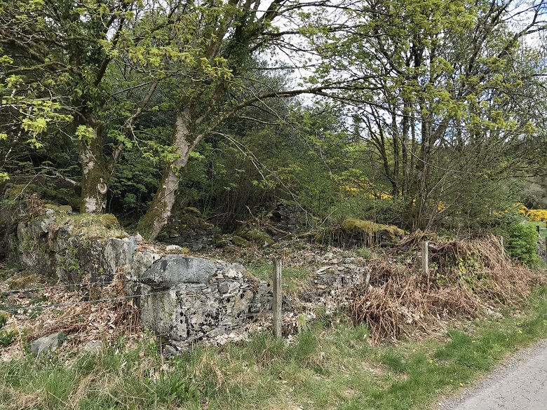 A close-up view of the ruins of a cottage located beside a quiet road