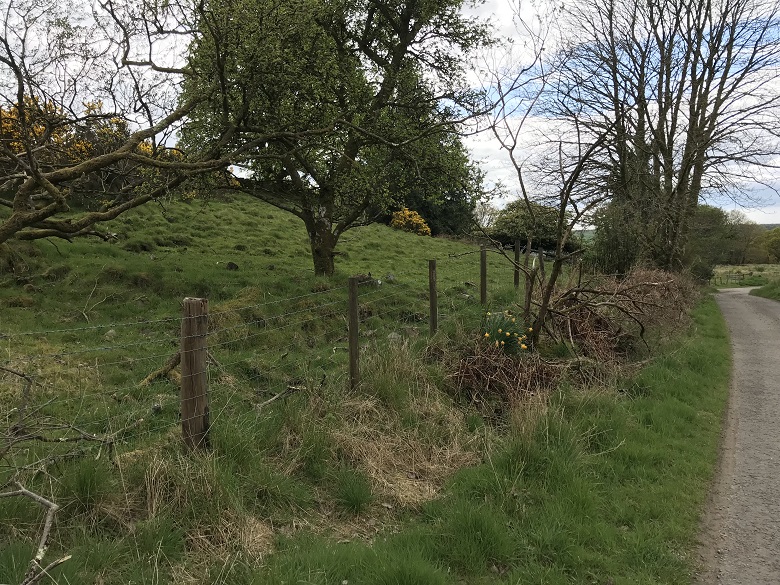 A small fence running along the side of a rural lane