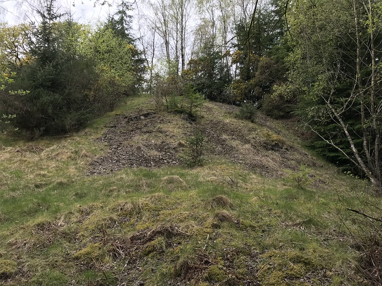 Trees and grass growing over the remains of a mine shaft and a mound created by a spoil heap