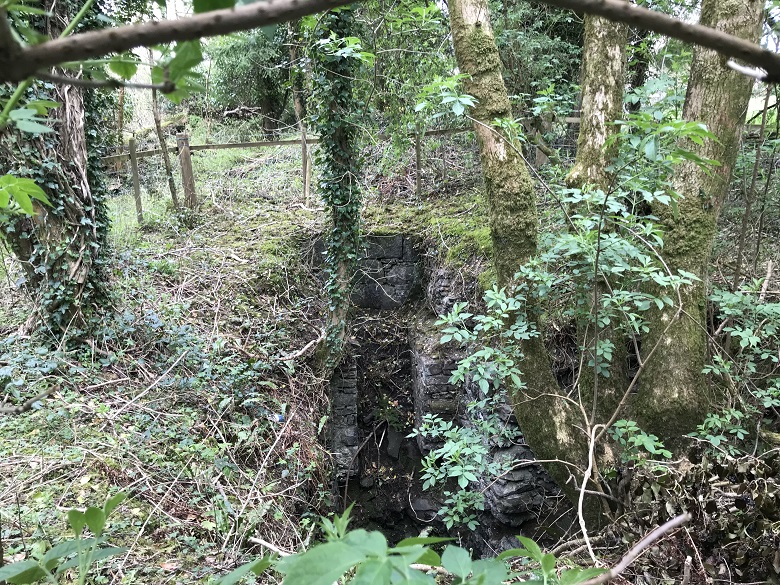 The remains of a mine shaft hidden amongst trees