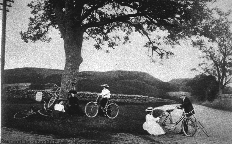 A vintage postcard showing a group of women dressed in long skirts and boater hats resting with bicycles under a large roadside tree. Their bicycles have a drop frame to accomodate long skirts, 