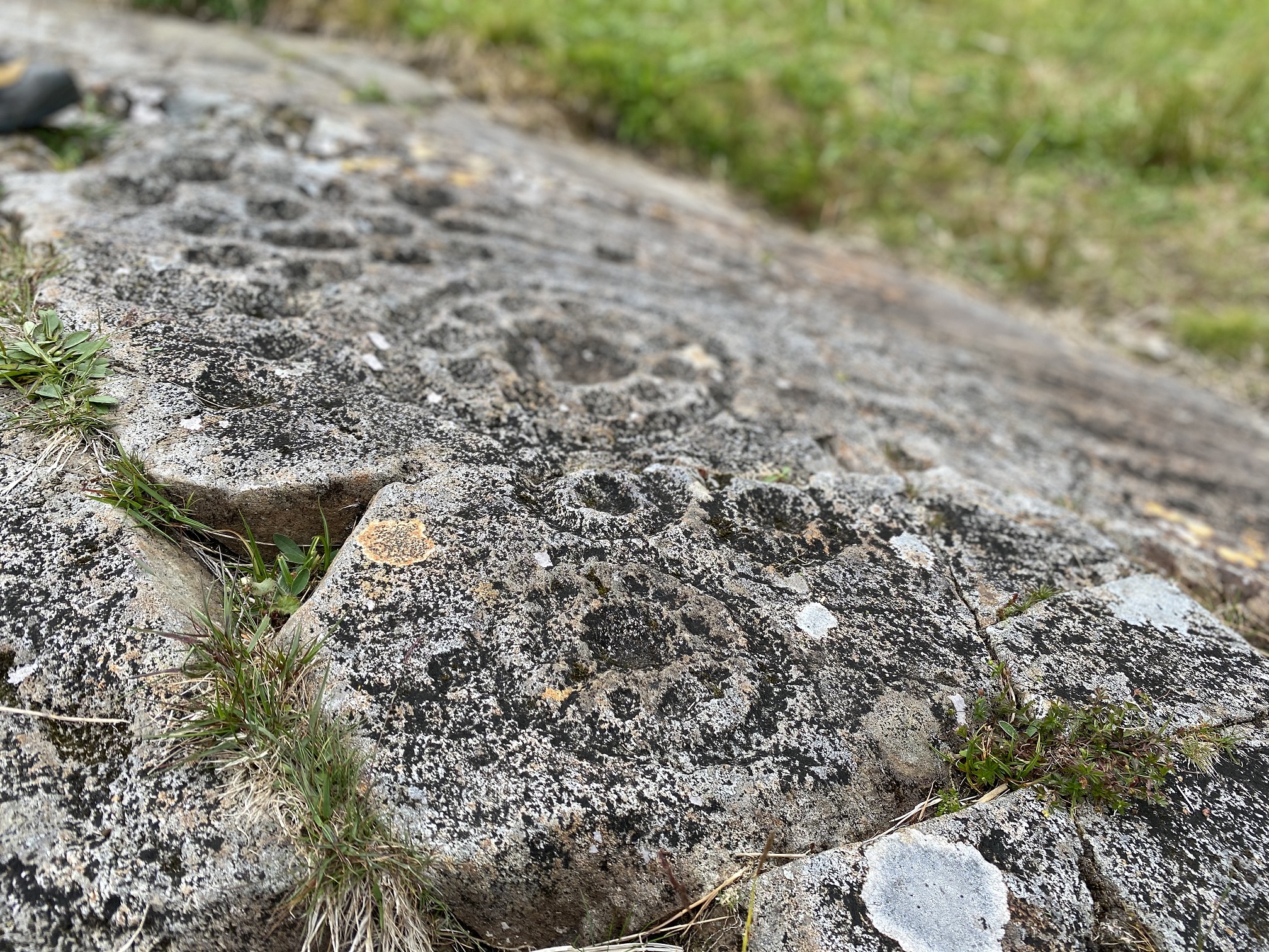 Close up of rock art at Kilmartin Glen. 