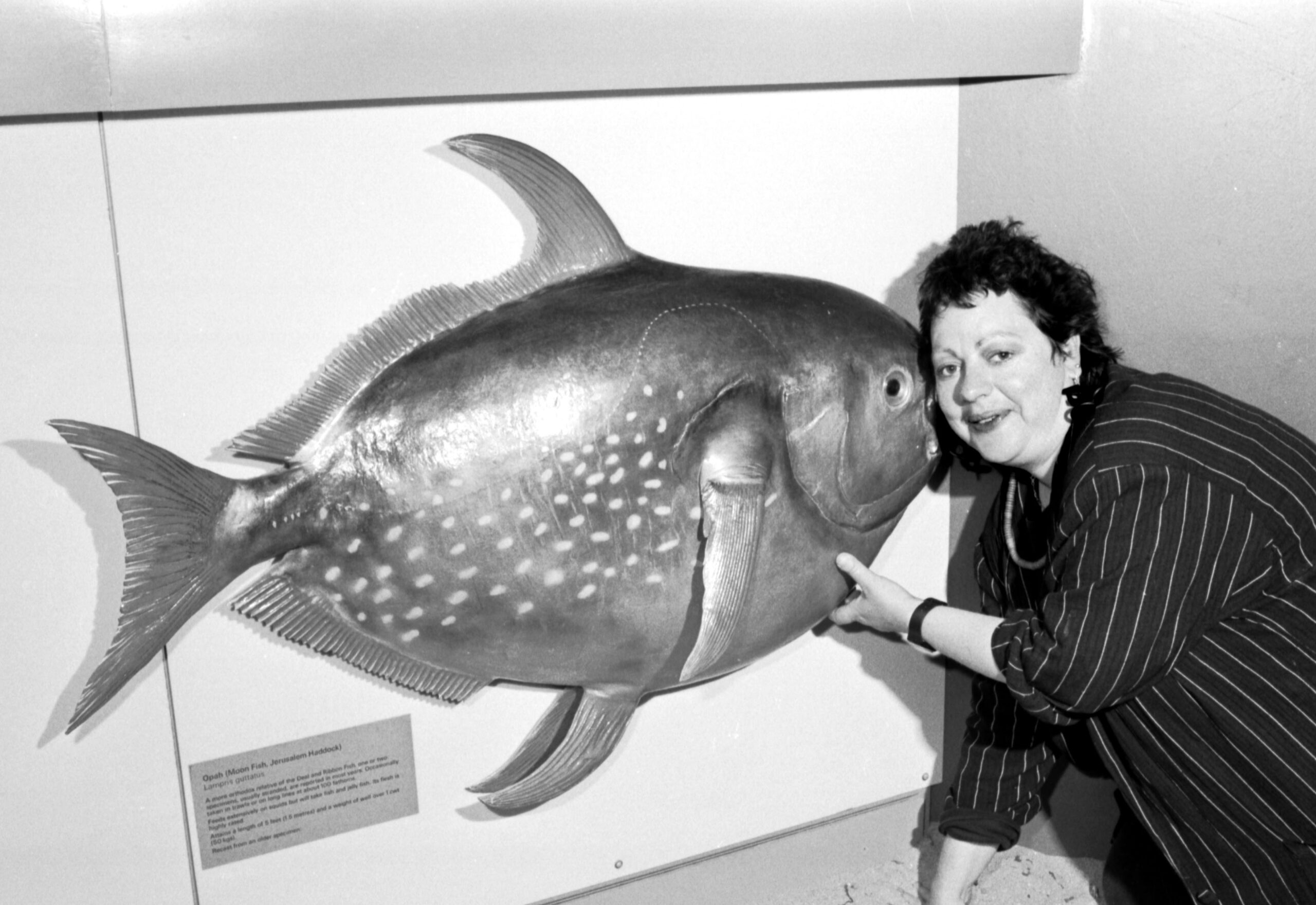 A black and white archive photo of Jo Brand touching a large model of a fish at a museum while smiling at the camera.