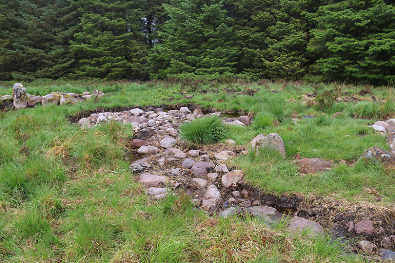 The rocky ruins of prehistoric cairns in a grassy landscape flanked by large evergreen trees