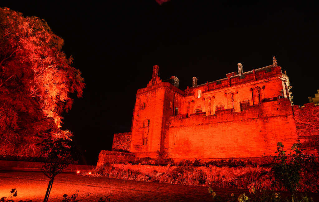 palace wall and tree at night lit up in red