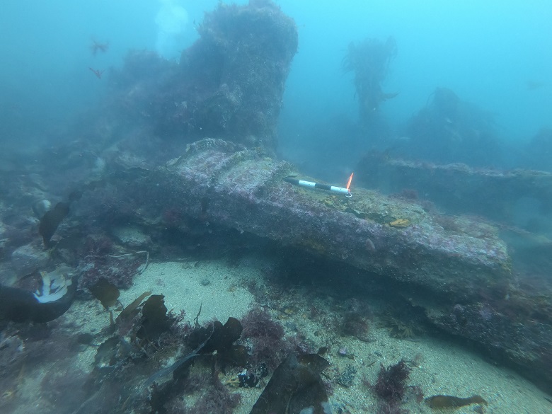 A photo taken underwater by a diver showing parts of a ship lying on the sea bed.