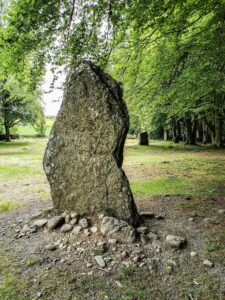 A standing stone in a woodland. The stone is approximately as tall as a person and is deep red in colour. In the distance another stone in the circle can be seen.