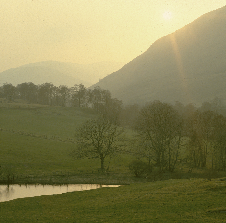 Sun shining on a peaceful and secluded tree-filled glen with mountains in the distance.